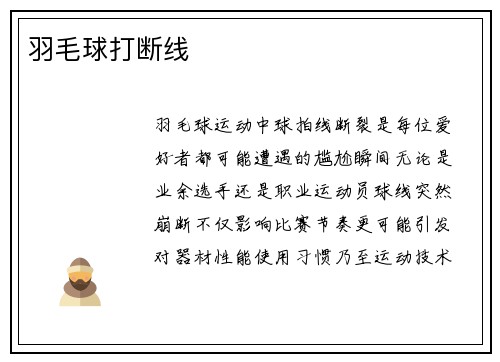 羽毛球打断线